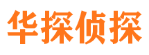 乐东市侦探调查公司